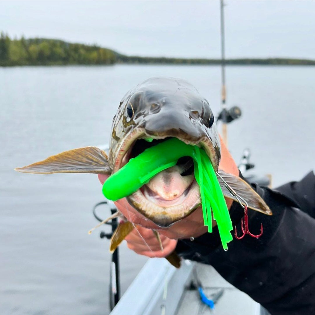 Elevate your lake trout fishing game with High Caliber Lures' premium Lake Trout Tube Jigs. Designed for vertical jigging and targeting trophy lakers, our tackle offers unmatched performance and durability. The powerful design and high-quality materials of our Lake Trout Tubes ensure maximum effectiveness, while providing exceptional visibility in low-light conditions.  Experience the thrill of landing a trophy lake trout with High Caliber Lures. 